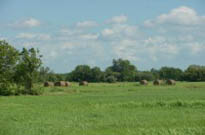 Campagne
