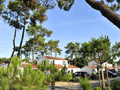 LONGEVILLE S/MER