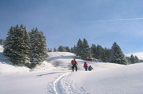 Alpes du Nord
