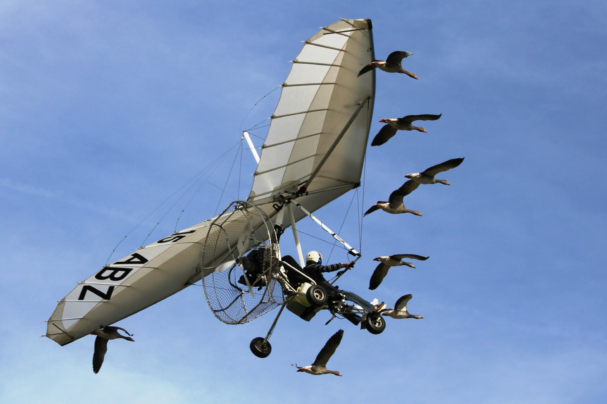 Voler avec les oiseaux
