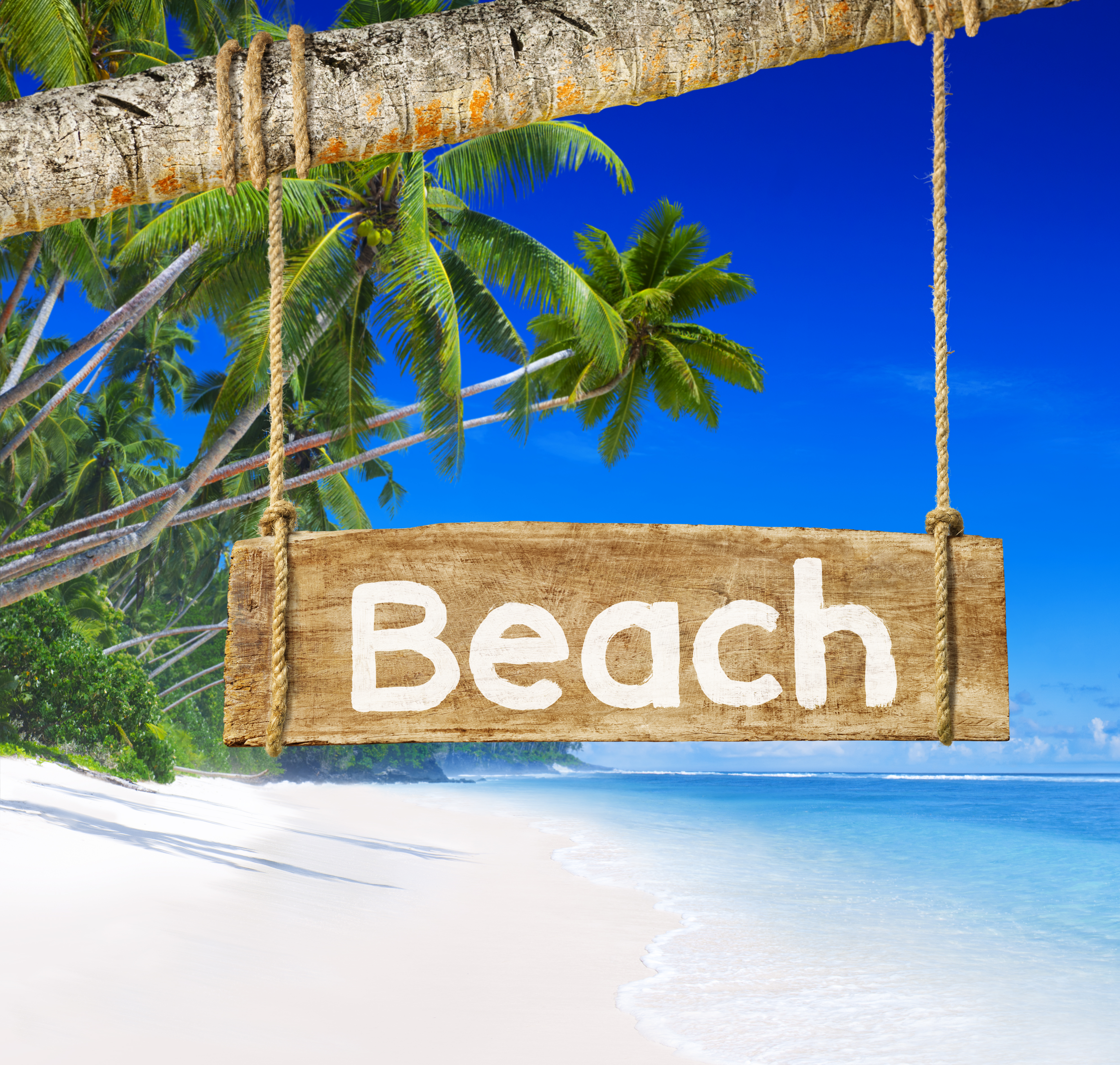 "Beach" banner