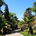 jardin-botanique-villa-thuret-antibes