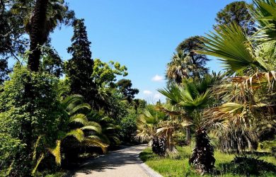 jardin-botanique-villa-thuret-antibes