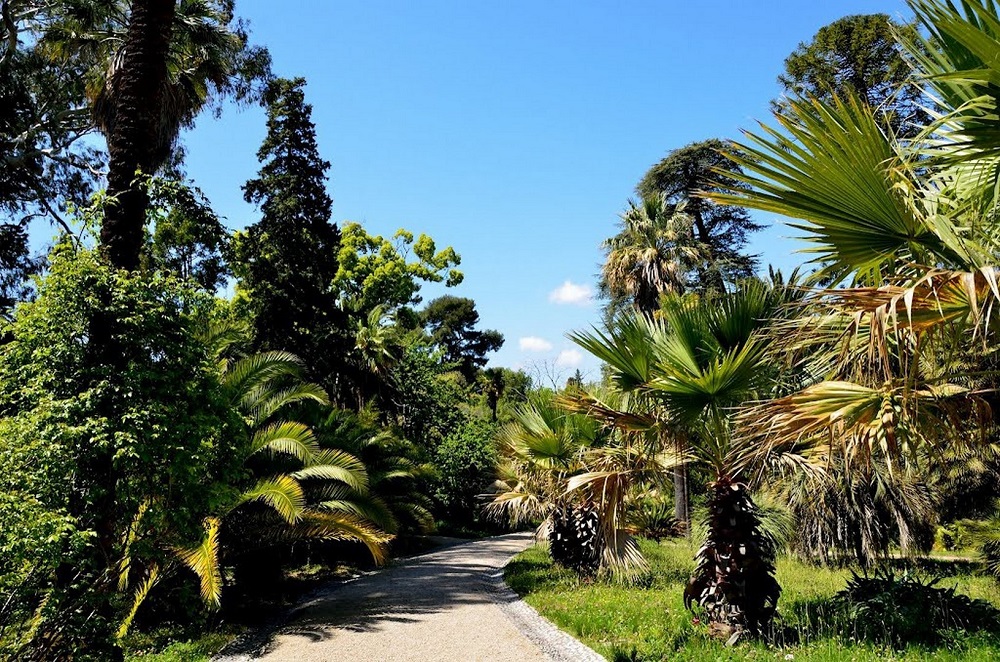 jardin-botanique-villa-thuret-antibes