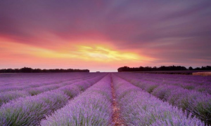 Provence
