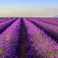 Provence