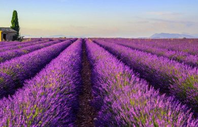 Provence