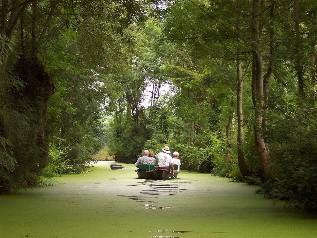 la venise verte