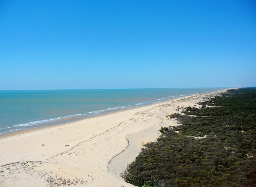 Côte sauvage tremblade