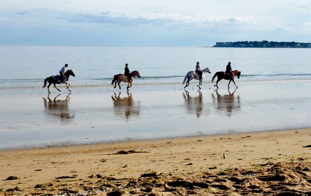 Balade_à_cheval_sur_la_plage_de_La_Baule