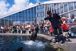 Océanopolis Brest, parc de découverte des océans