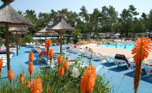 camping-sainte-baume
