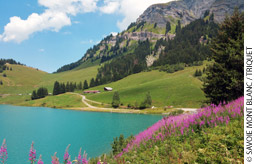 Savoie