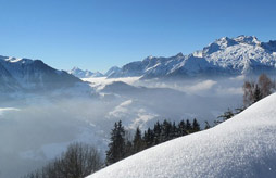 Auris en oisans, Camping Le Belledonne Bourg d'Oisans