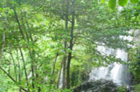Barre des cevennes