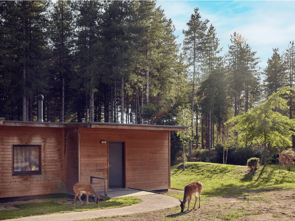 Center Parcs Domaine Le Bois aux Daims Center Parcs Domaine Le Bois aux Daims