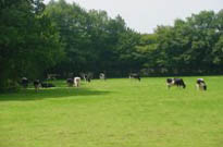 Vendée