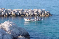 La franqui