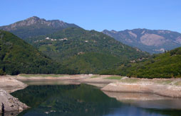 Fornells de la selva