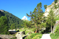 Bougé chambalud