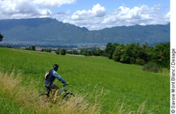 Saint pierre d'albigny