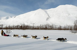 Saint julien chapteuil