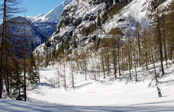 Thollon les mémises