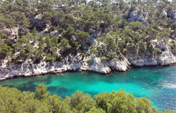 Cassis