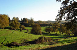 Bellegarde en marche