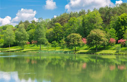 Saint nizier le bouchoux