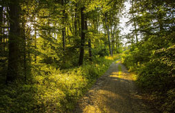 Bagnoles de l’orne