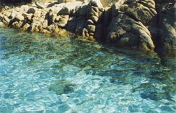 Favone