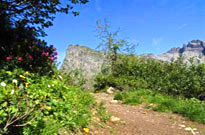 Fleurie