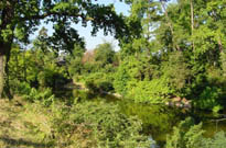 Camping l'Etang Des Bois (Vieilles-Maisons-sur-Joudry  16 km)