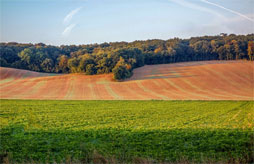 Gouvets