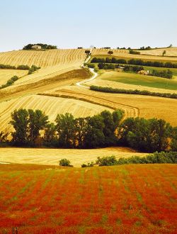 Campagne