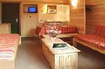 Economique (1 toile)