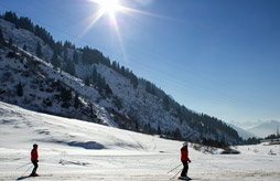 Chalet appartement Le Planot