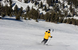 Chalet Off Piste Type 1