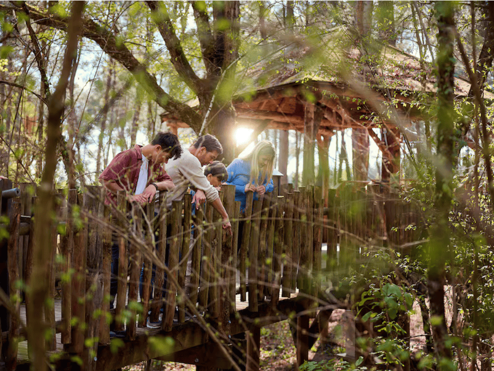 Center Parcs Domaine du Bois aux Daims Morton Center Parcs Domaine du Bois aux Daims Morton