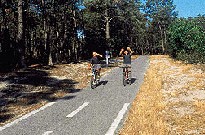 Maussane les alpilles