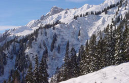 Chalet Le Chamois