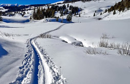 Chalet Les Ecrins