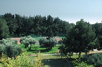 Saint cyr les lecques