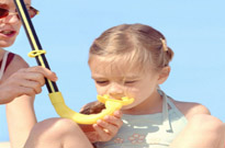 Saint julien en born