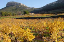 Saint saturnin les avignon