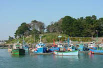 Sainte-marguerite sur mer