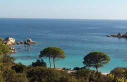 Location vacances 1 août 2026