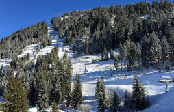 Vaujany, Appartement de particulier à Vaujany